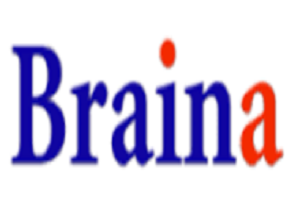 Braina Pro 2022 Crack Registration Key Free Download