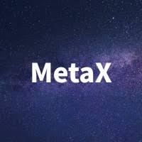 MetaX 4.95 With Serial Key Free Download Latest Version 2023