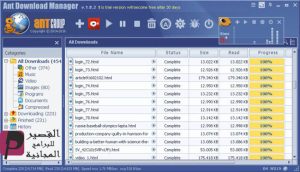 Ant Download Manager Pro 2.8.3 Crack & License Key 2024 