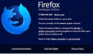 Firefox Developer Edition 111.0b2 With License Key 2024 Free Download